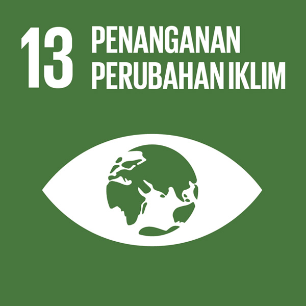 sdg13