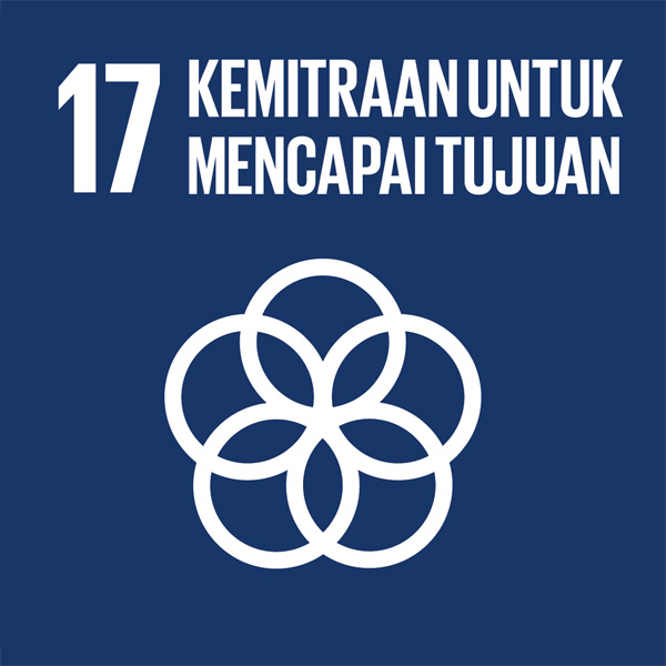 sdg17