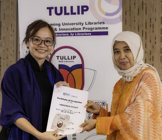 tullip 3